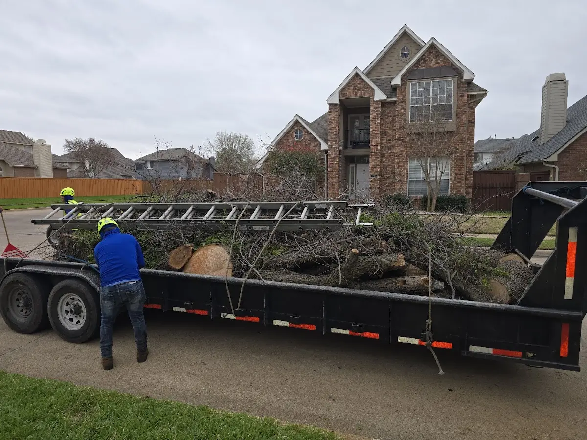 Expert Tree Fertilization with proper safety equipment in Bushnell